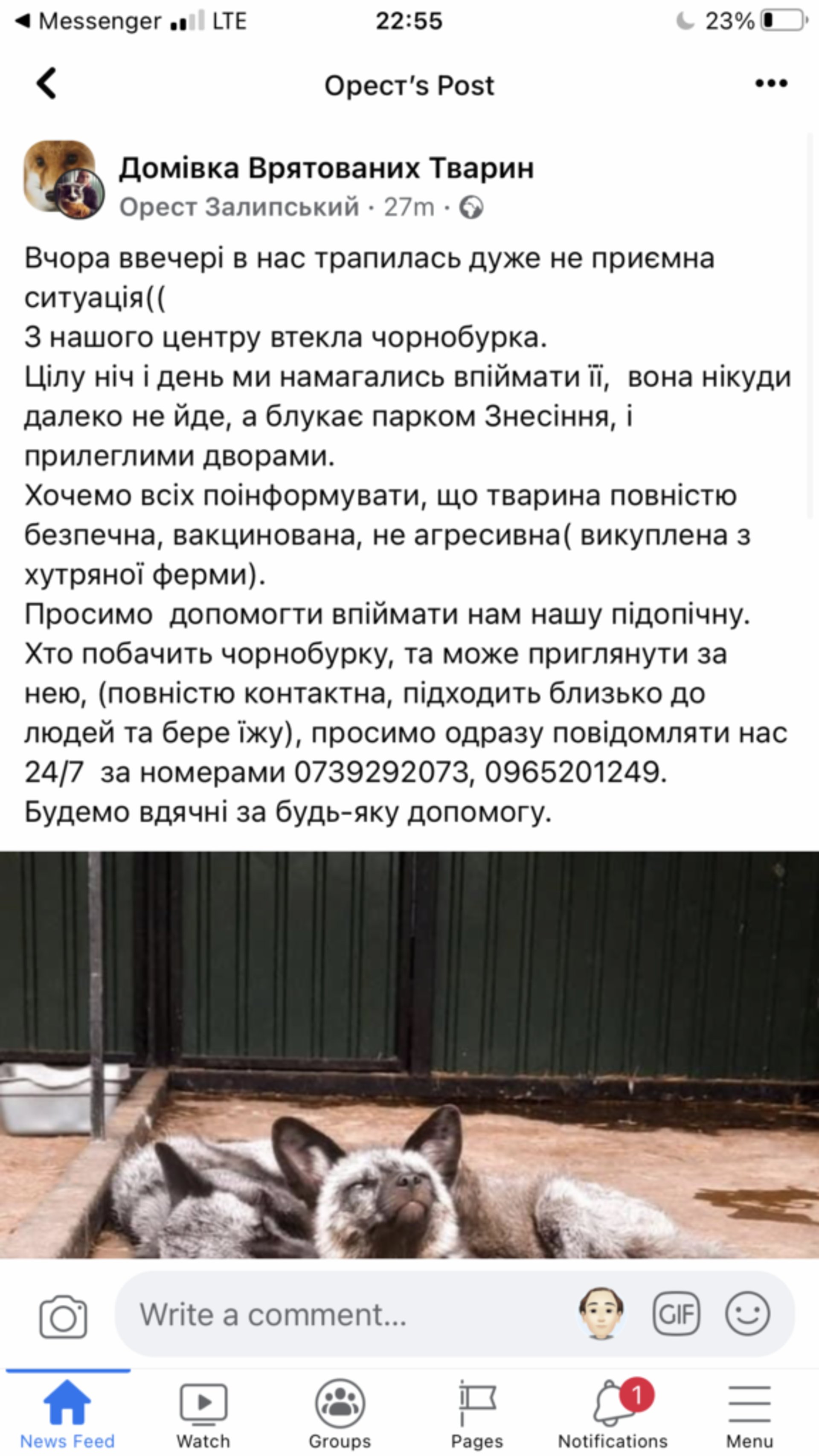 Скрін допису