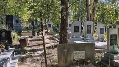 У Львові комунальники Садового не прибирають цвинтарі