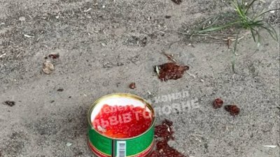 У Львові котів годують ікрою (ФОТО)