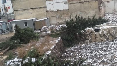 У Львові знищили ялинки (ФОТО)