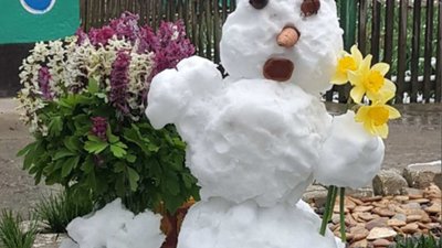 В Україні кілька областей замело снігом (ФОТО)