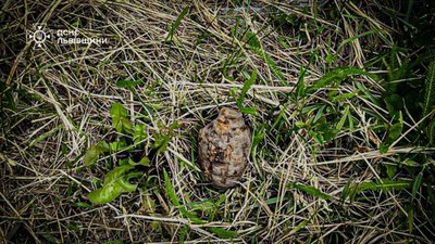 У Львові у парку виявили ручну гранату