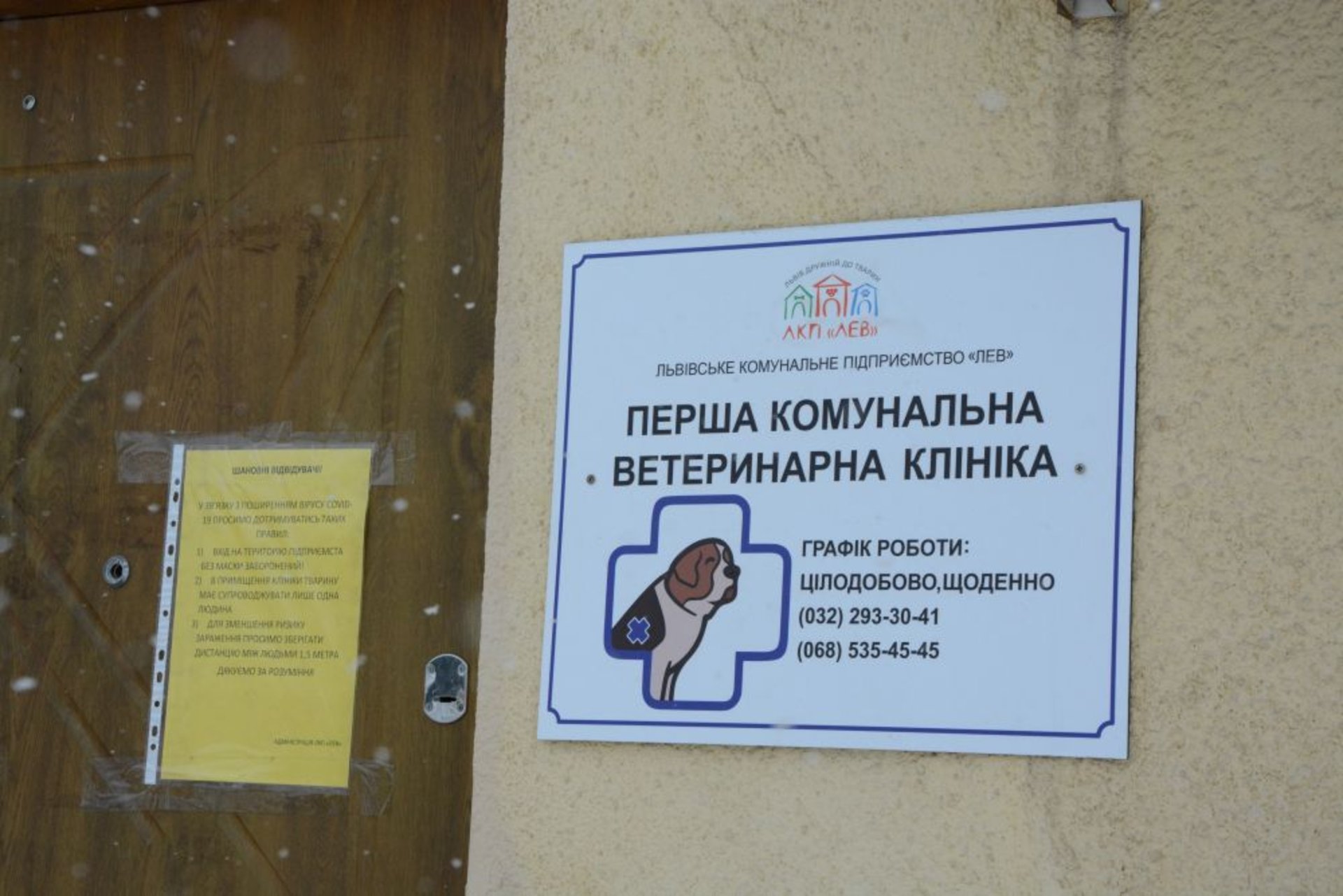 З 1 січня у ЛКП «Лев» стартує плановий щорічний карантин, фото ЛМР