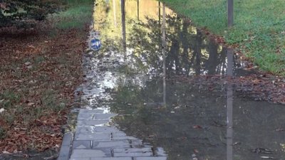 У Львові утворилась нова річка (ФОТО)