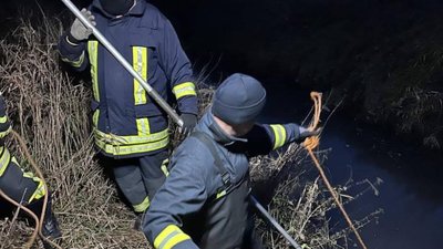 На Львівщині з річки витягнули тіло чоловіка