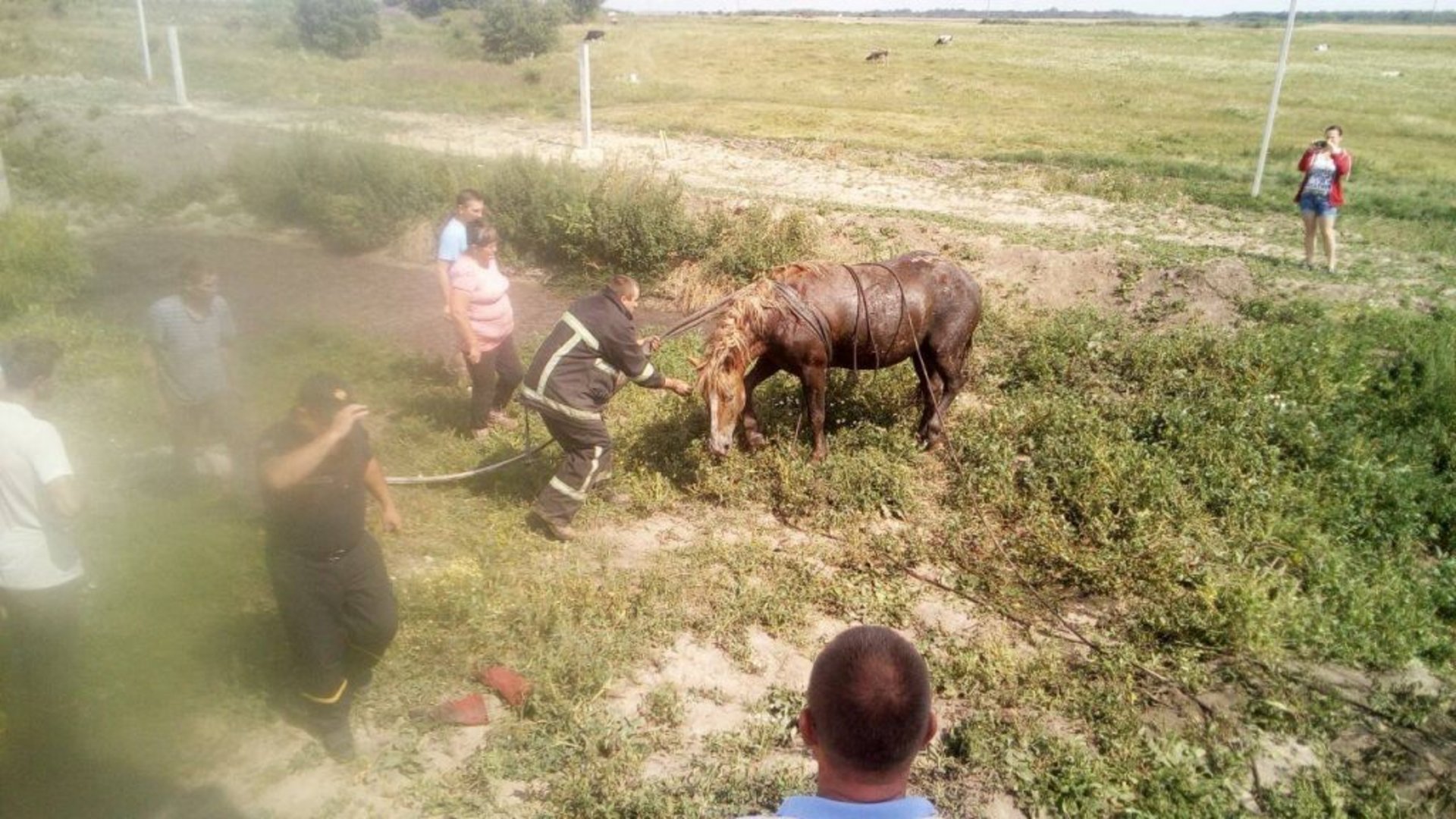 Фото: ДСНС