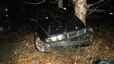 У Жидачівському районі «бляхи» в‘їхали в дерево