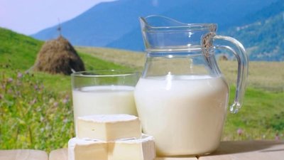 На Львівщині відкриють молокопереробний завод