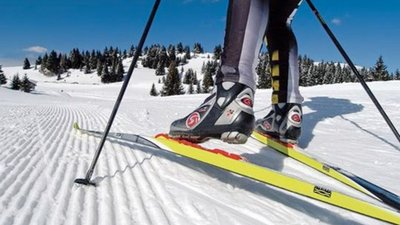 Україна стала лідером європейського імпорту лиж