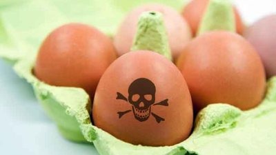 До Львова з Польщі завезли небезпечну курятину