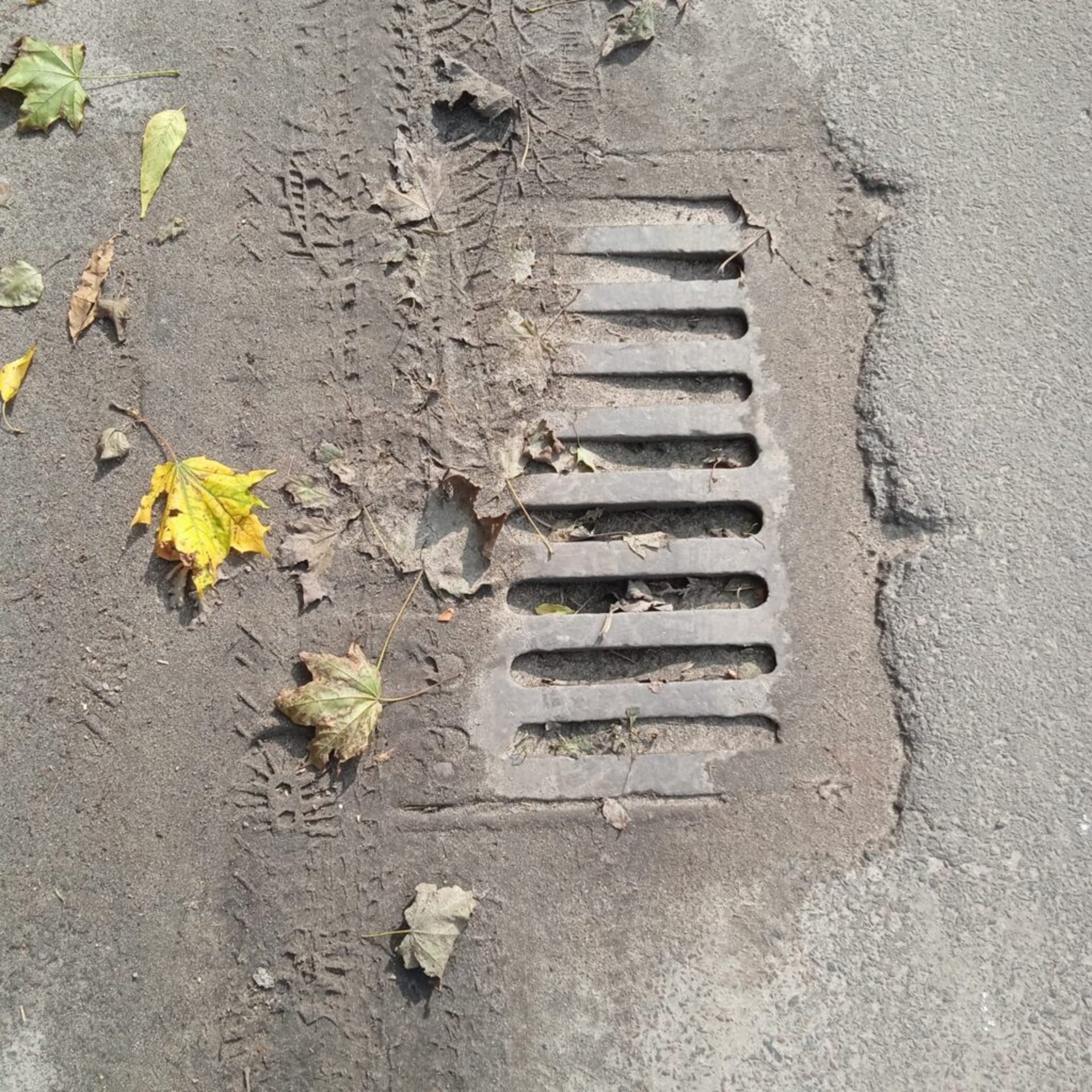 У Львові не чистять дощоприймачі