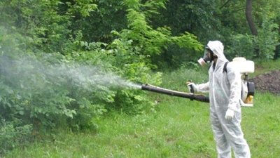У Львові оброблятимуть парки