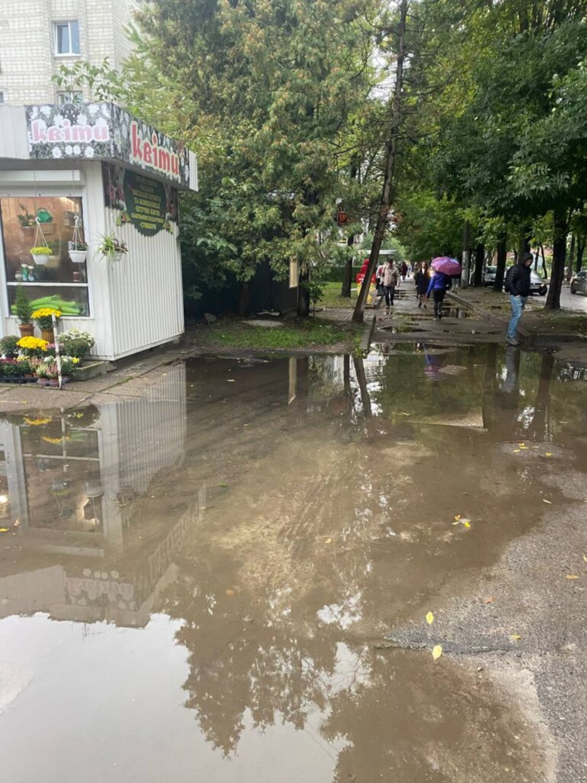 У Львові просять відремонтувати вулицю Угорську