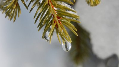 У Червонограді через відлигу мешканцям затоплює будинки (ФОТО)