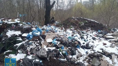 Стихійне сміттєзвалище у Трускавці із збитками у майже 70 млн грн