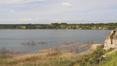 На Львівщині у річку зливають хімічні речовини