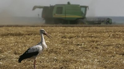 На Львівщині прокуратура домоглася звільнення самовільно зайнятої землі вартістю 39 млн грн