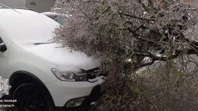 У Львові ускладнений рух на трьох вулицях через падіння дерев (ФОТО)