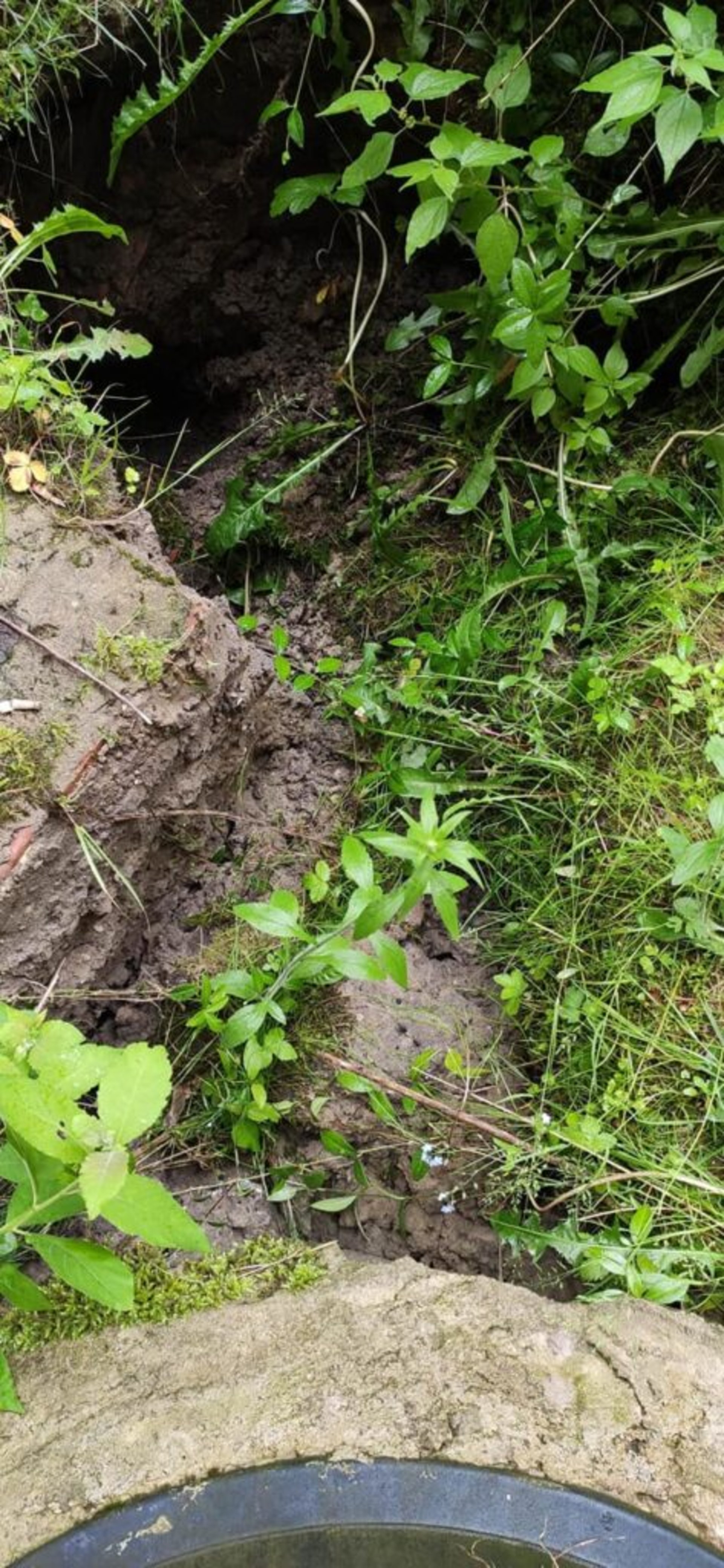 У Львові на місці утворення провалля облаштували дощоприймач, фото ГЛМЛ