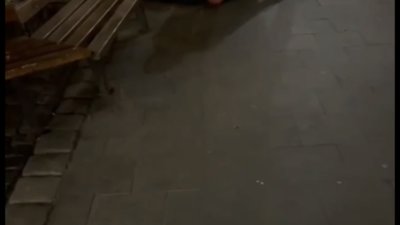 У Львові під вікнами Садового сталась бійка (ВІДЕО)