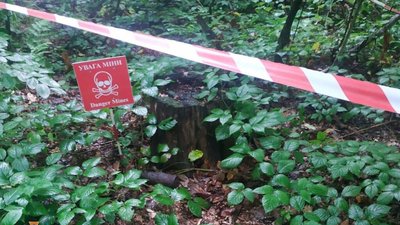У Дрогобичі у парку знайшли артилерійський снаряд часів ІІ Світової війни