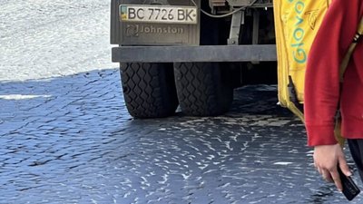 У центрі Львова комунальники чистять болото