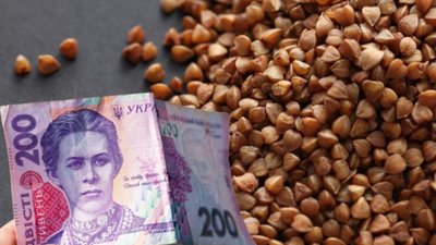 Депутати Львівської міськради заклали собі по 800 тисяч гривень