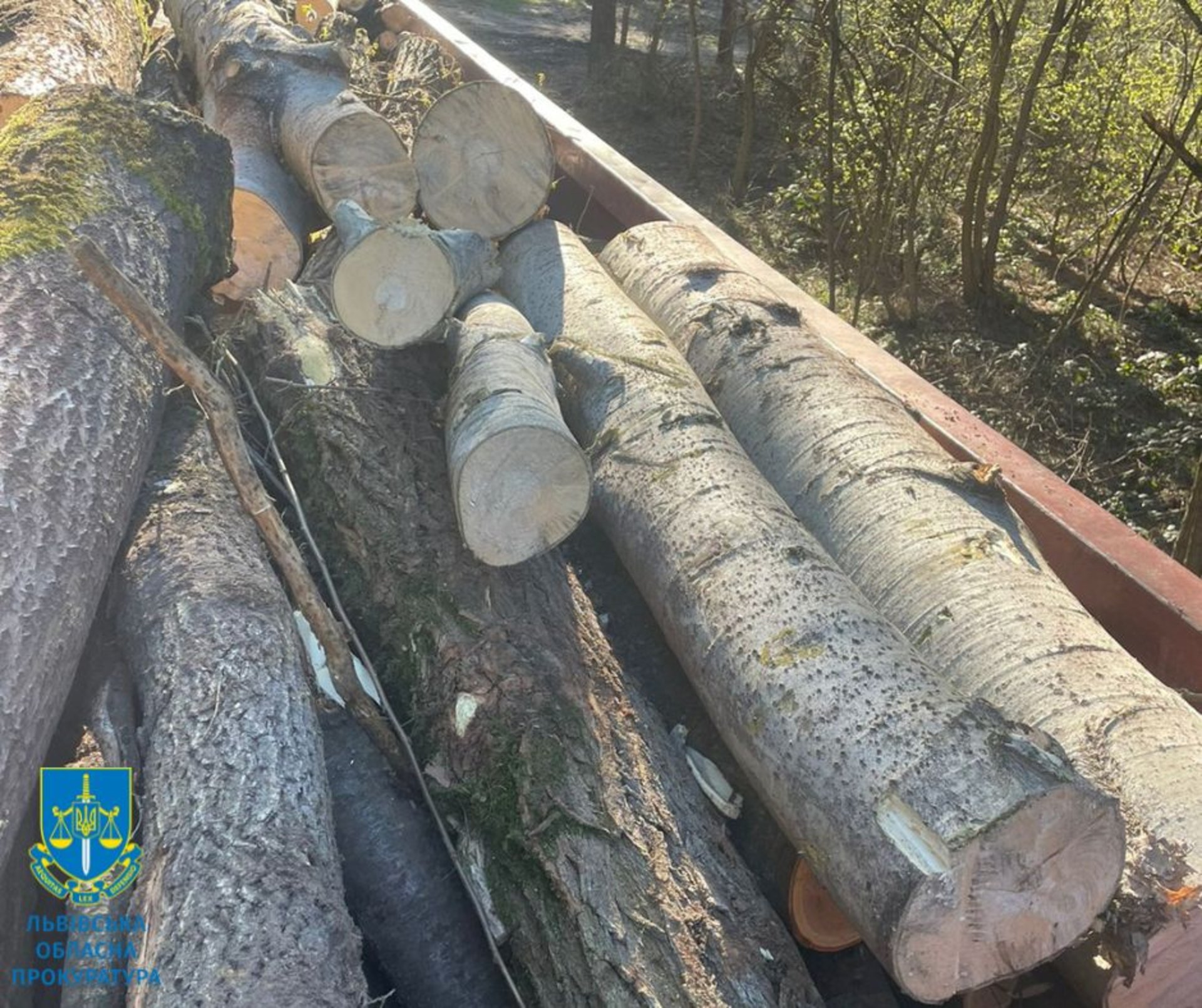 На Львівщині лісничий незаконно реалізовував деревину