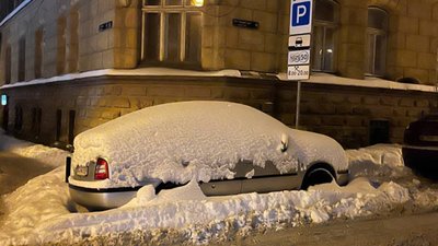 У Львові дружина чиновника Садового прибиратиме паркінги