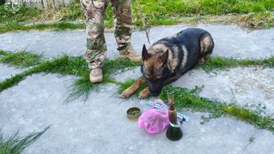 На Львівщині судитимуть мешканця Дрогобицької громади