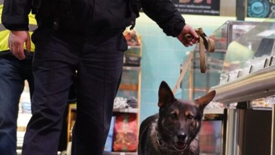 У Львові поліцейські шукали в торгових центрах вибухівку (ФОТО)