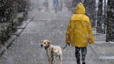 Погода у Львові та Львівській області: прогноз синоптиків на 14 грудня