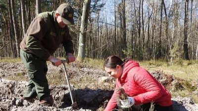 На Львівщині висадили 120 га лісу