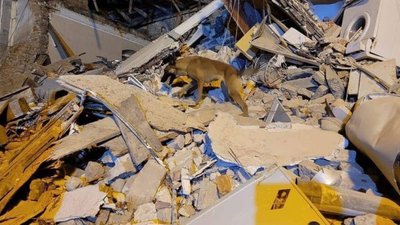 На проспекті Свободи у Львові обвалилась частина будинку