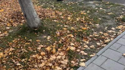 У Львові вода затоплює дорогу