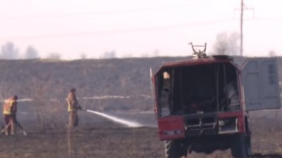 На Сокальщині третю добу не можуть загасити торфовище поблизу села (ВІДЕО)