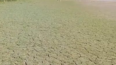 Дністер та його притоки сильно обміліли