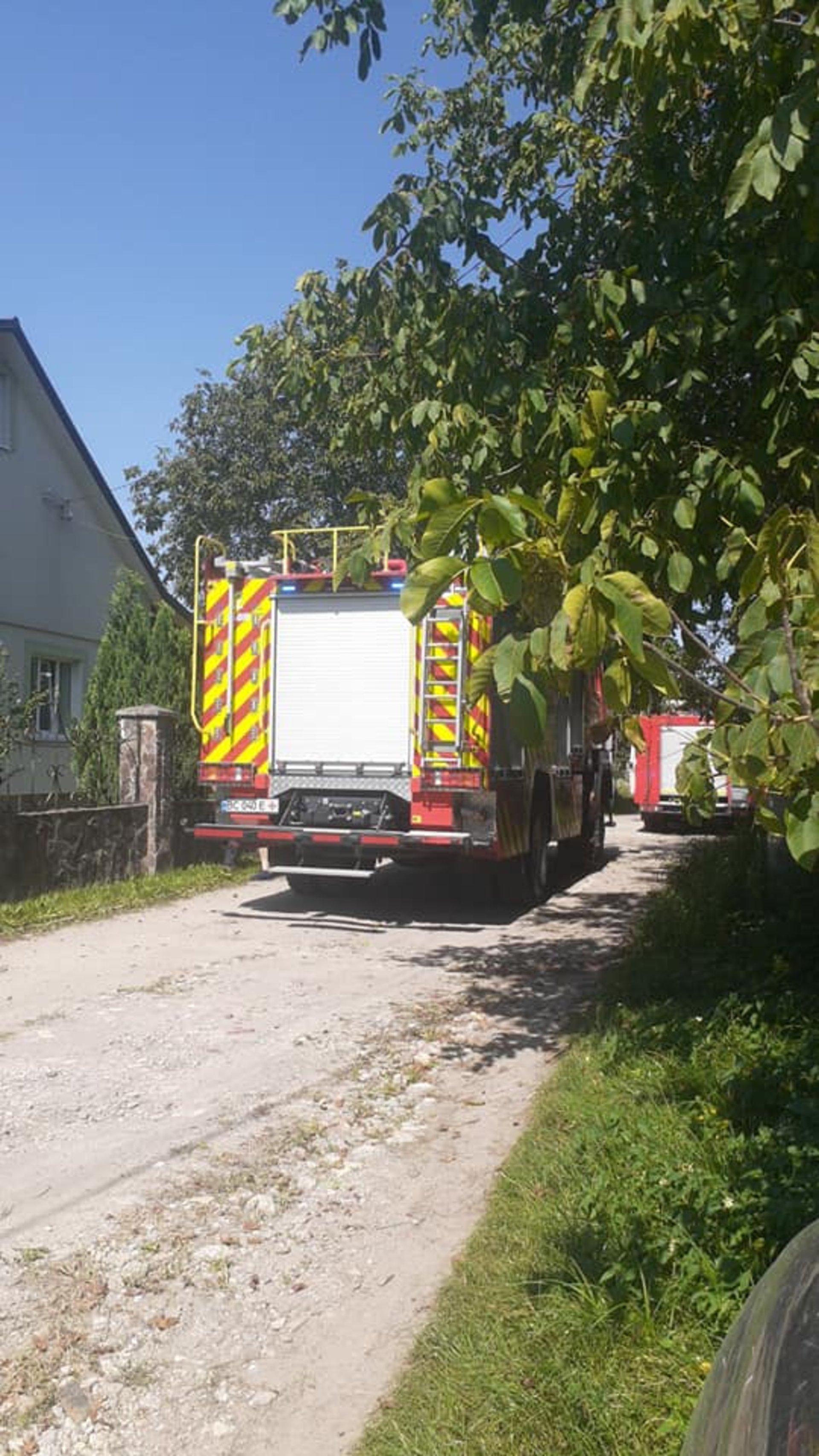 На Львівщині навмисно підпалили дровітню