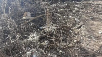 Львів тоне у смітті