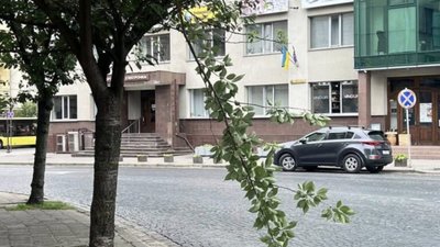 У Львові невідомі зламали сакуру