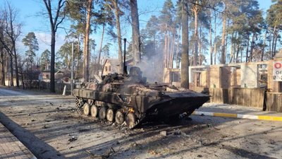 На Київщині голодні окупанти жерли навіть котячий корм (ВІДЕО)
