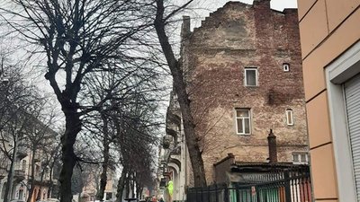 У Львові дерево може травмувати людей (ФОТО)