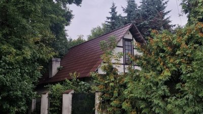 У Львові у парку виросла кропива