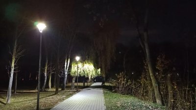 У Горіховому гаю почали облаштовувати доріжку (ФОТО)