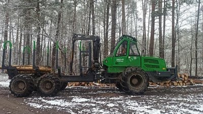 Обсяги лісозаготівель на Львівщині зросли на 16,2%