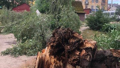 У Яворівському районі ліквідовують наслідки негоди (ФОТО)