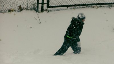 На Україну чекає аномально тепла зима, - кліматолог