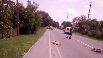 На Львівщині п‘яний депутат, керуючи іномаркою, скоїв смертельне ДТП - журналіст