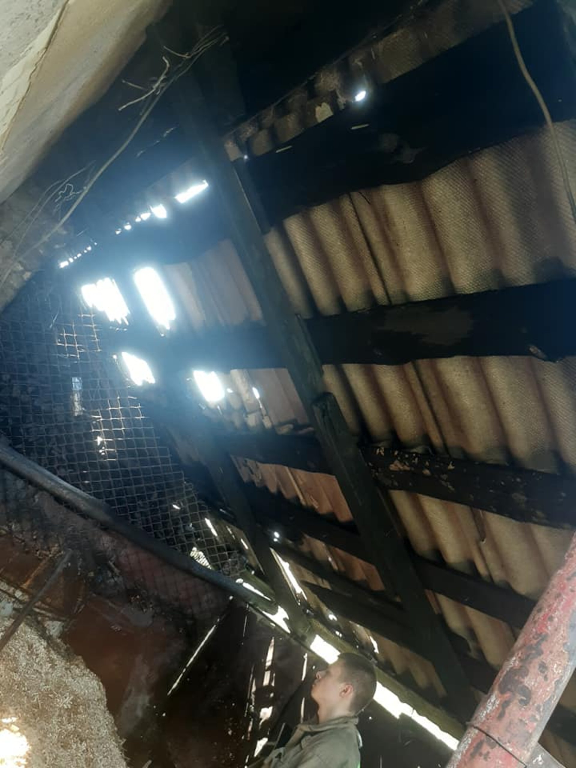 На Львівщині навмисно підпалили дровітню