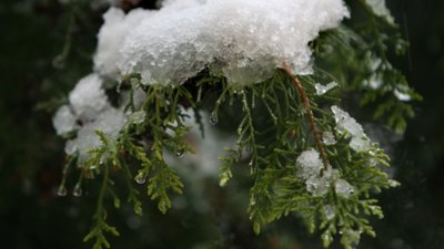 На Львівщину йде похолодання з дощем і мокрим снігом
